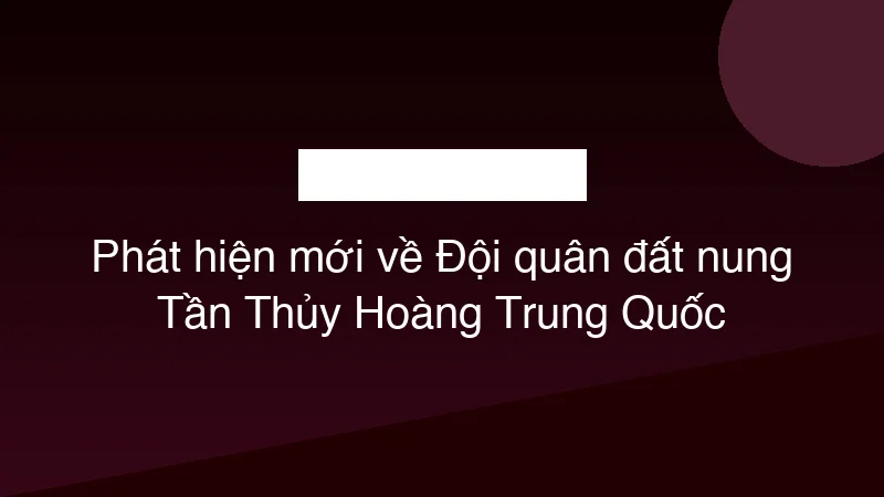 Phát hiện mới về Đội quân đất nung Tần Thủy Hoàng Trung Quốc